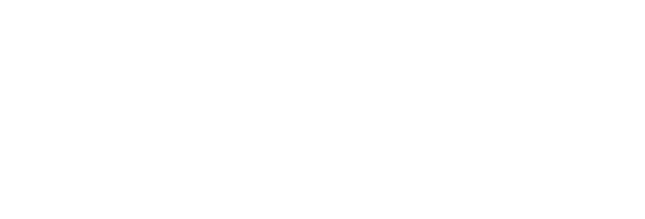 media mundus